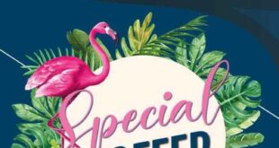 Flamingo Hyper Market - Special Offer