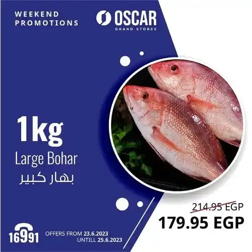 عروض اوسكار جراند 23 حتى 25 يونيو 2023 - Eid Offer . كل عيد اضحى و انتم طيبين . عيد مليان بركة و توفير و الخير كتير . استمتعوا مع Oscar Grand Stores