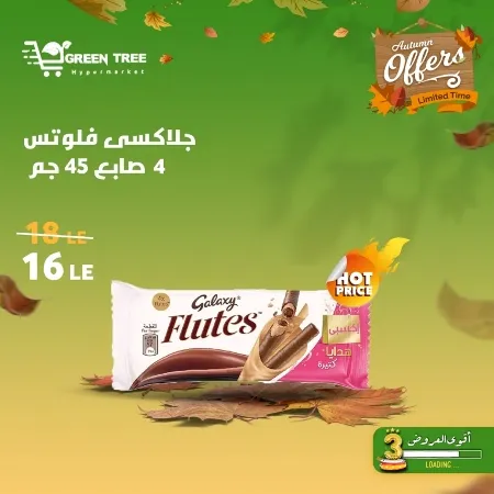 Green Tree Hypermarket - Autumn Offer