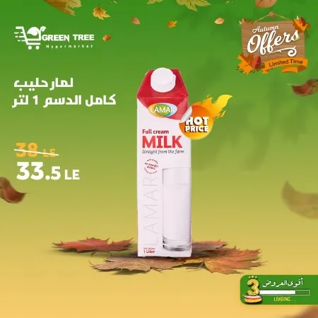 Green Tree Hypermarket - Autumn Offer