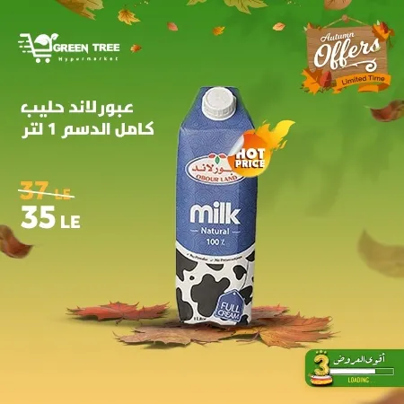 Green Tree Hypermarket - Autumn Offer