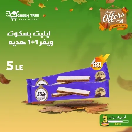 Green Tree Hypermarket - Autumn Offer