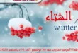 Bassem Market Winter Offer