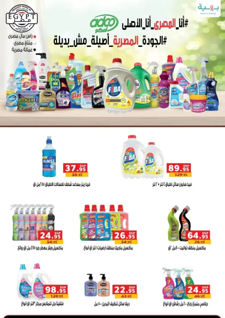 Panda Egypt Winter Offer