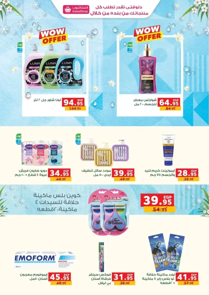 Panda Egypt Winter Offer