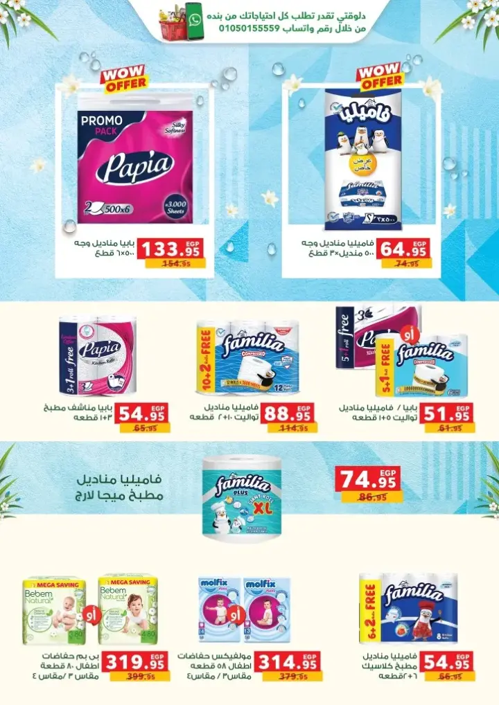 Panda Egypt Strong Offer