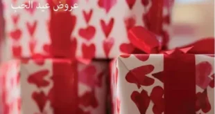 Merto Market Egypt Valentine's Day Offer