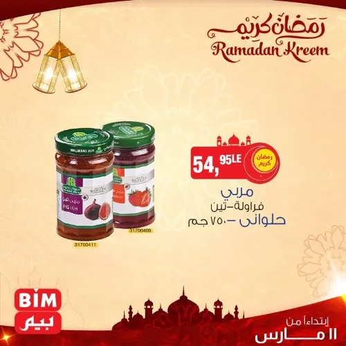 New Offers BIM MISR