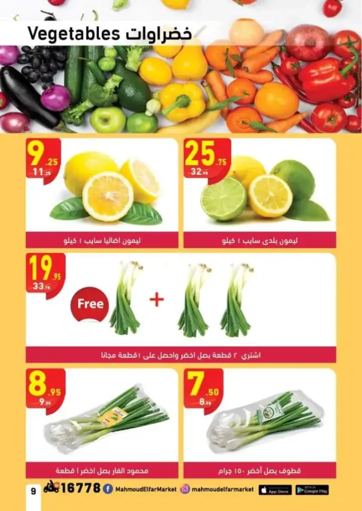 Mahmoud ElFar Market Offer