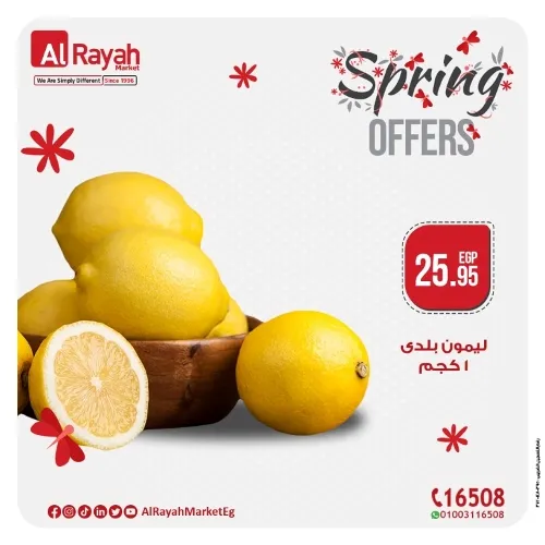 Al Rayah Market Sprung Offers