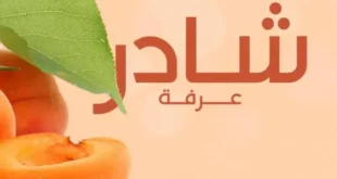 عروض شادر عرفه للخضروات و الفاكهة يوم الأحد 12 مايو 2024