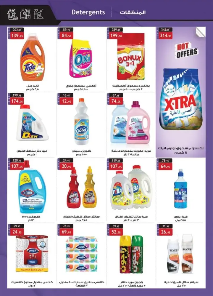 Al Raya offers from May 21 until June 5, 2024 - Detergent Festival. Discounts and discounts in all departments