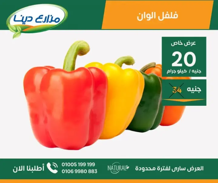 عروض مزارع دينا من 25 يونيو حتى 07 يوليو 2024 - June Offer .  استمتع بعروض شهر يونيو فى منافذ مزارع دينا