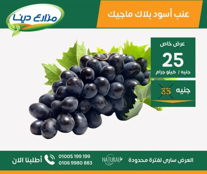 Dina Farms offers from June 25 until July 7, 2024 - June Offer. Enjoy June offers at our farms outlets