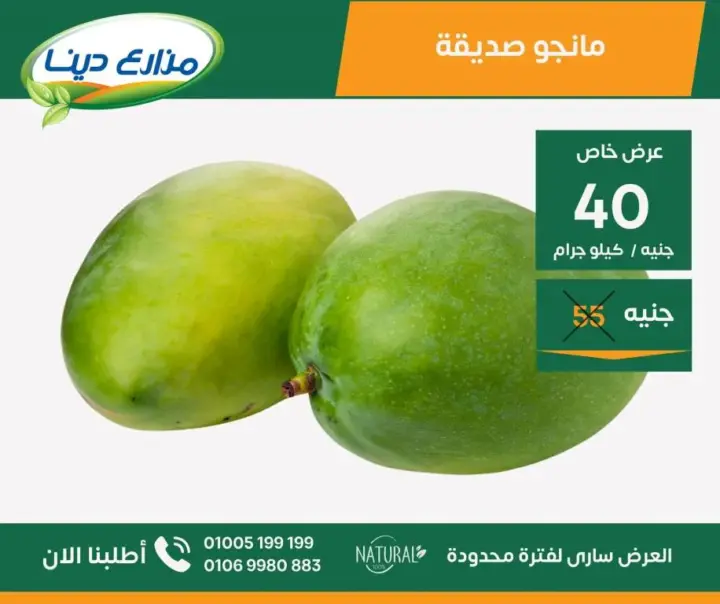 Dina Farms offers from June 25 until July 7, 2024 - June Offer. Enjoy June offers at our farms outlets