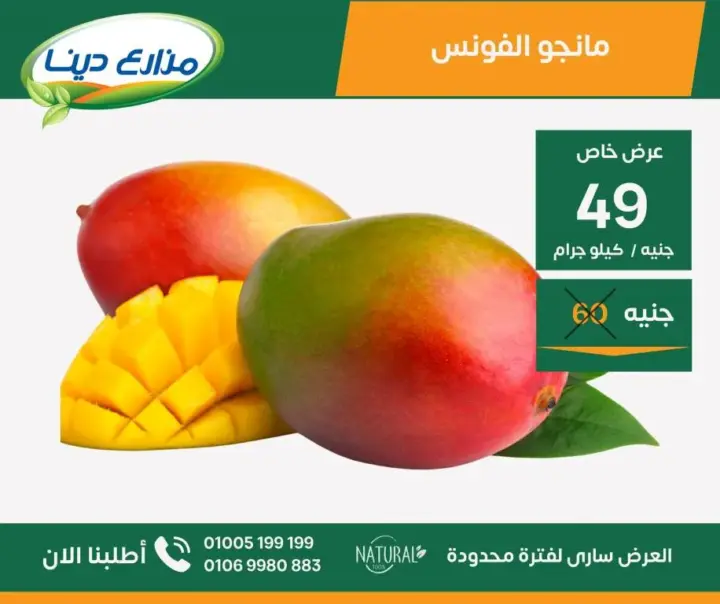 Dina Farms offers from June 25 until July 7, 2024 - June Offer. Enjoy June offers at our farms outlets