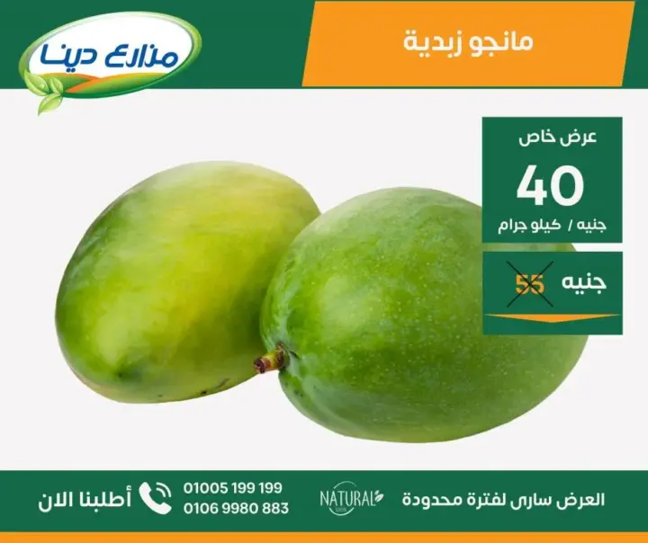 عروض مزارع دينا من 25 يونيو حتى 07 يوليو 2024 - June Offer .  استمتع بعروض شهر يونيو فى منافذ مزارع دينا