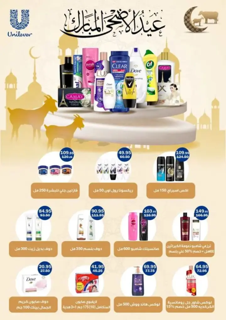 Flamingo Hypermarket offers from 7 until 21 June 2024 - Special Magazinel. On the occasion of Eid Al-Adha, the largest magazine offers from Flamingo HyperMarket