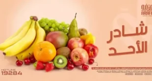 عروض عرفه الأحد 4 أغسطس 2024