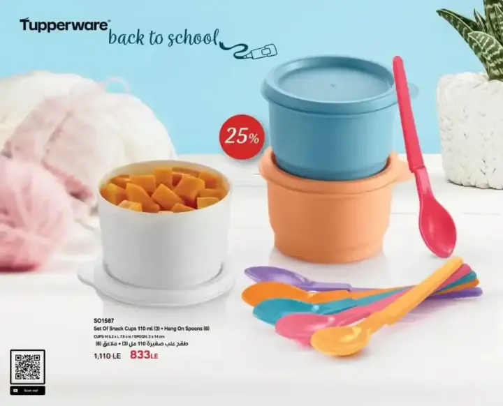 Tupperware Egypt