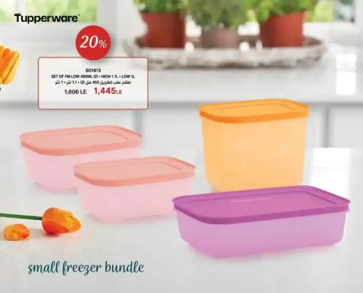 Tupperware Egypt