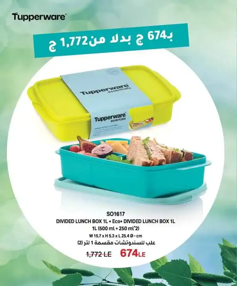 Tupperware Egypt