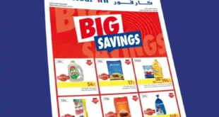 Discover the latest Carrefour offers from 21 to 31 October 2024. Amazing discounts on all products! Don't miss the opportunity. Shop now and benefit from the best prices.