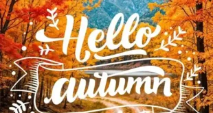 Hyper Mall offers and discounts from October 26 to November 10, 2024 Hello Autumn