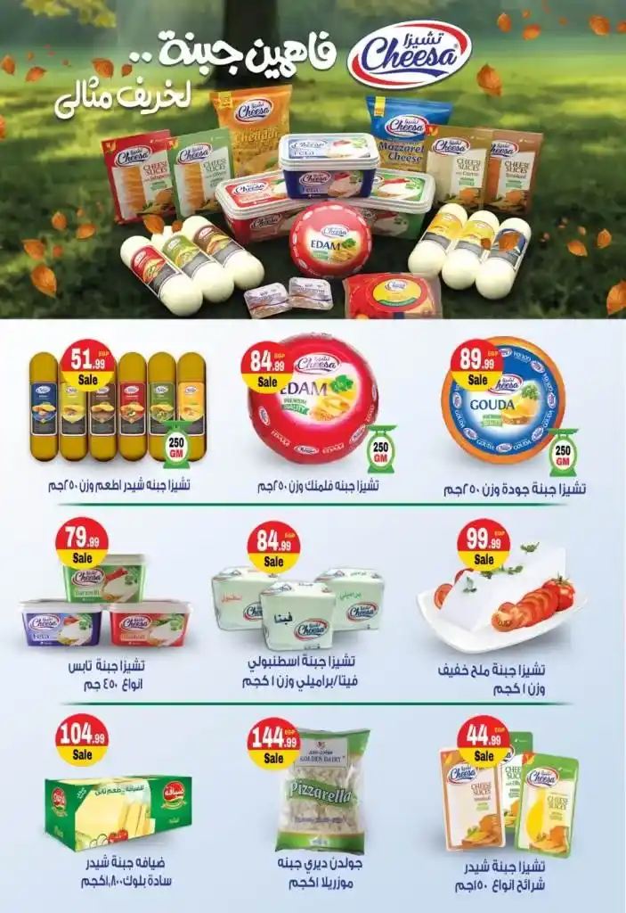 Euromarche Offers - From October 23 to November 09, 2024 - Autumn Offers