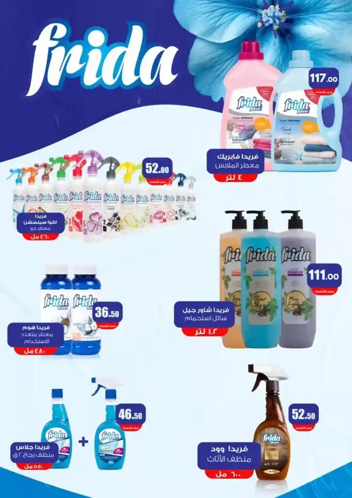 Arfa Market Monthly Offers - From October 26 to November 10, 2024 - New Magazine