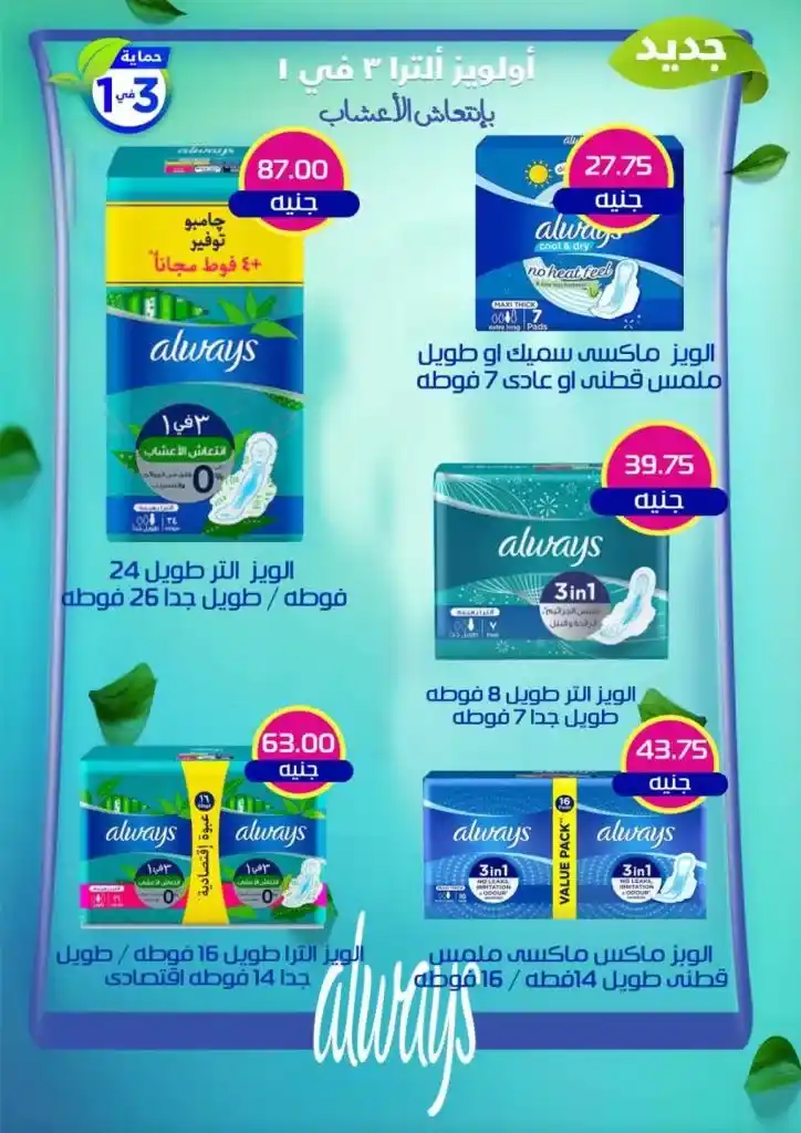 Arfa Market Monthly Offers - From October 26 to November 10, 2024 - New Magazine