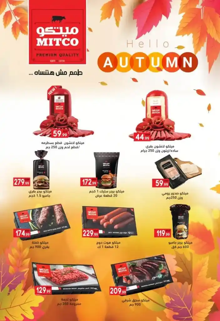 Euromarche Offers - From October 23 to November 09, 2024 - Autumn Offers