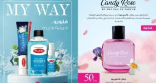 Discover the My Way Catalog for November 2024: Complete solutions for personal care and preparing for the fall season