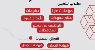 وظائف خالية – وظائف التوحيد والنور: فرص توظيف متعددة ومتاحة من جميع المحافظات