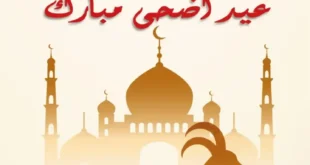عروض المصرية ماركت 2025