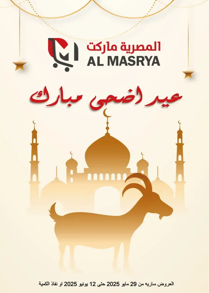 عروض المصرية ماركت 2025