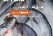 عروض بيت الجملة يوم 27 مايو 2025