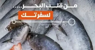 عروض بيت الجملة يوم 27 مايو 2025 : خصومات على الأسماك الطازجة في بيت الجملة .