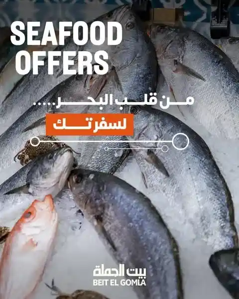 عروض بيت الجملة يوم 27 مايو 2025