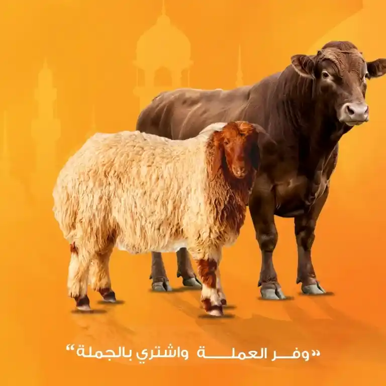 عروض جملة ماركت لعيد الأضحى 2025