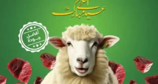 عروض سراي ماركت 2025 تبدأ الآن : جهز بيتك لعيد الأضحى بأقل الأسعار