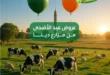 عروض مزارع دينا 2025