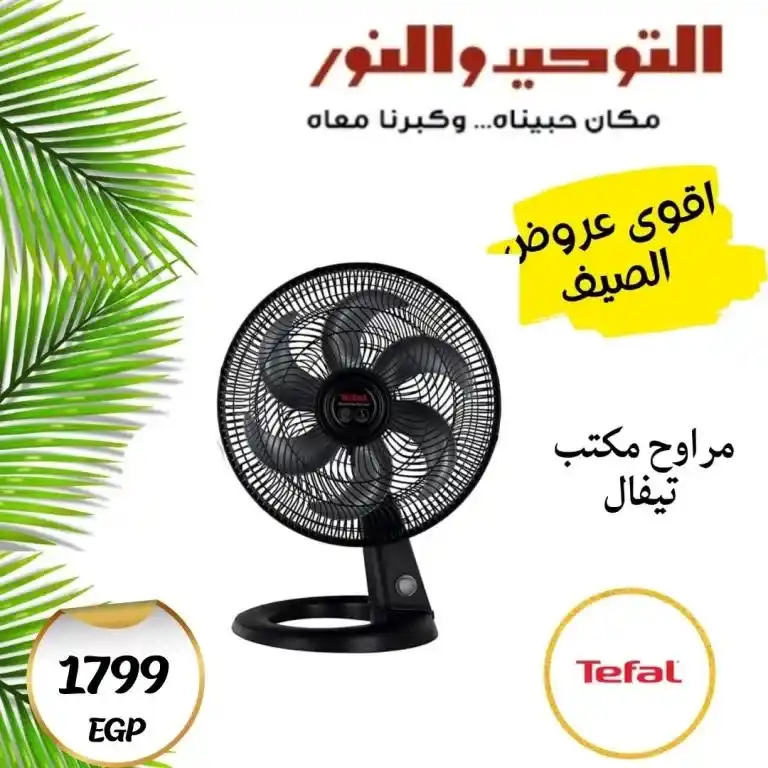 Tawhid and Noor 2025 Offers