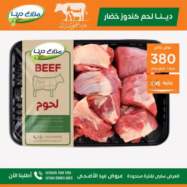 عروض مزارع دينا 2025 