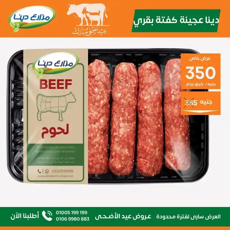 عروض مزارع دينا 2025 