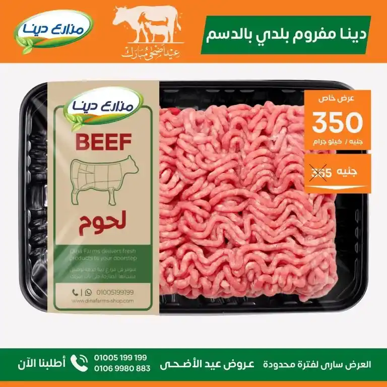 عروض مزارع دينا 2025 
