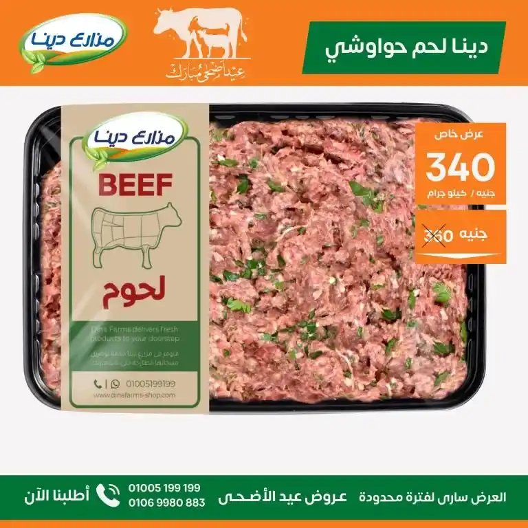 عروض مزارع دينا 2025 