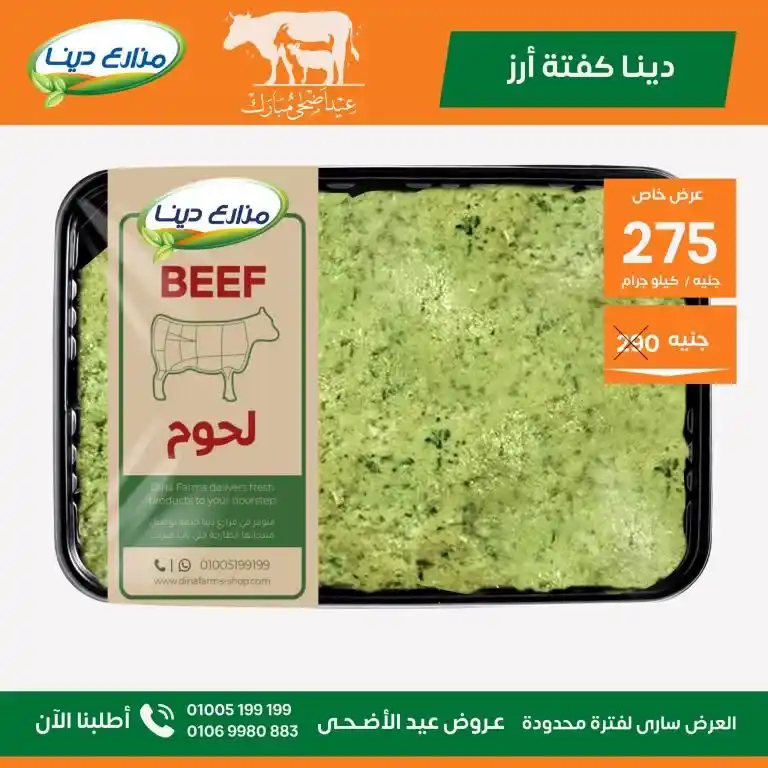 عروض مزارع دينا 2025 