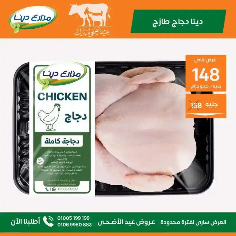 Dina Farms Offers 2025