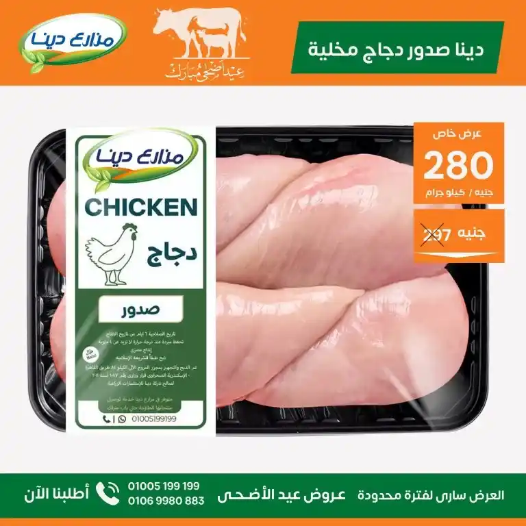 Dina Farms Offers 2025